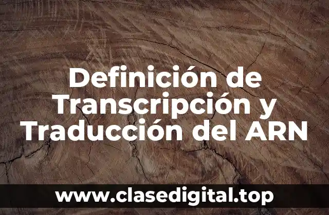 Definición de Transcripción y Traducción del ARN