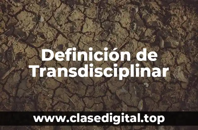 Definición de Transdisciplinar