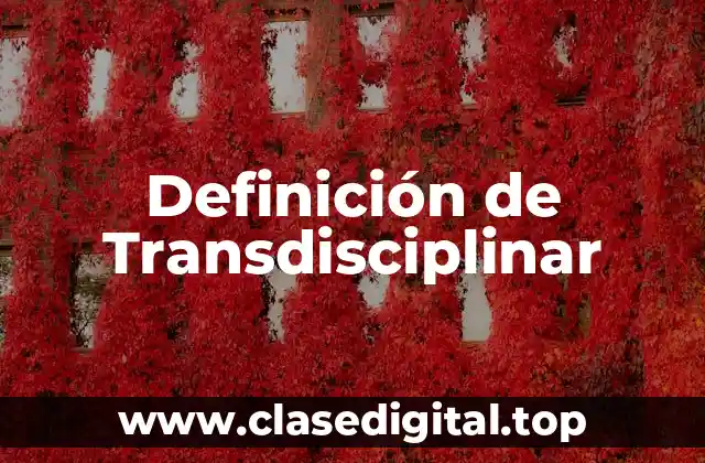 Definición técnica de Transdisciplinar