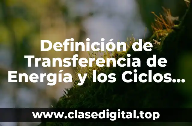 Definición de Transferencia de Energía y los Ciclos Biogeoquímicos