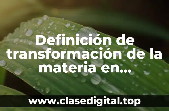 Definición de transformación de la materia en ecosistema