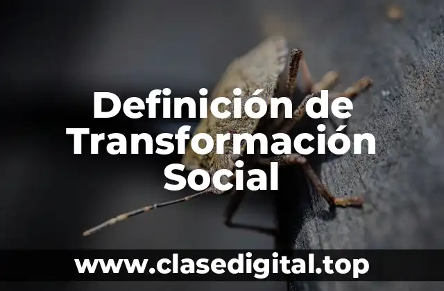 Definición de Transformación Social