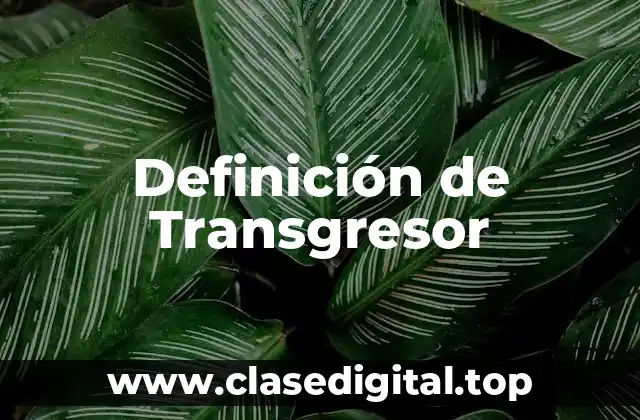 Definición de Transgresor