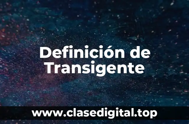Definición de Transigente