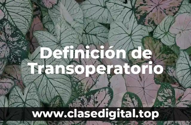 Definición Técnica de Transoperatorio