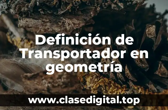 Definición de Transportador en geometría