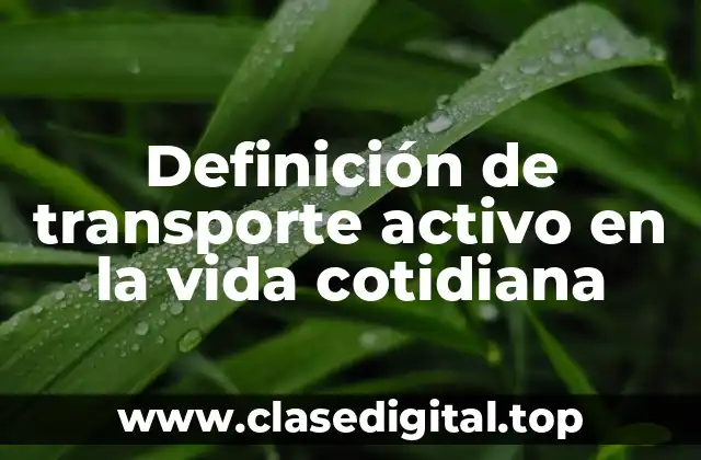 Definición de transporte activo en la vida cotidiana