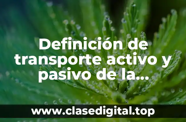 Definición de transporte activo y pasivo de la membrana celular