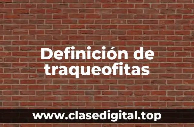 Ejemplos de traqueofitas