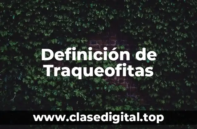 Definición de Traqueofitas