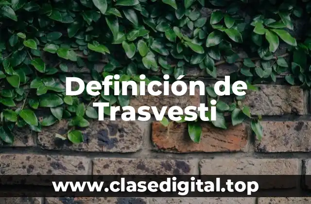 Definición de Trasvesti