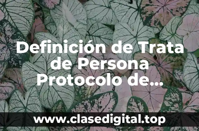 Definición de Trata de Persona Protocolo de Palermo
