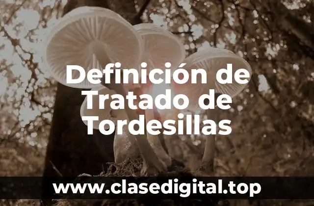 Definición de Tratado de Tordesillas