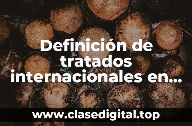Definición de tratados internacionales en derecho
