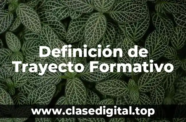 Definición de Trayecto Formativo