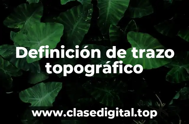Definición de trazo topográfico