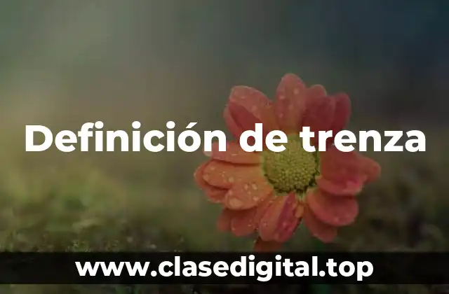 Definición de trenza