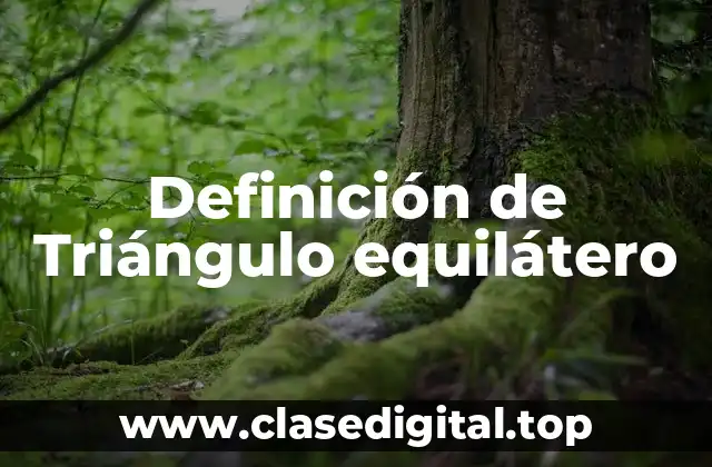 Definición de Triángulo equilátero