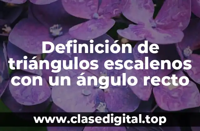 Definición de triángulos escalenos con un ángulo recto