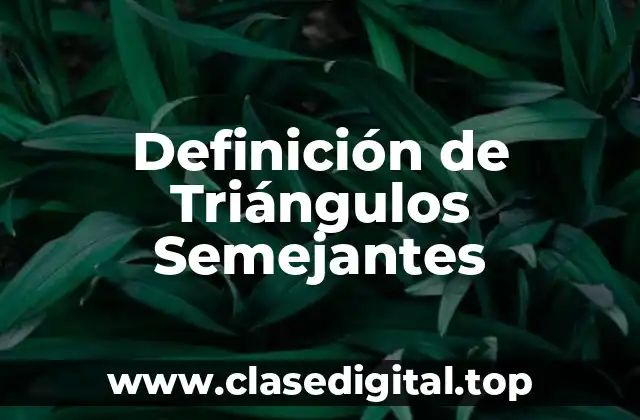 Definición de Triángulos Semejantes