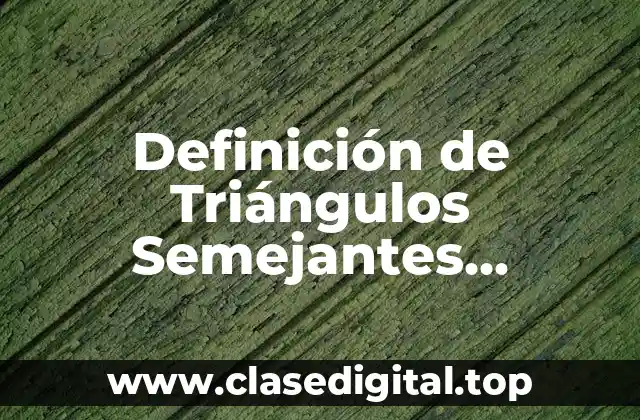 Ejemplos de Triángulos Semejantes
