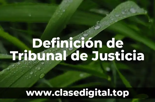 Definición de Tribunal de Justicia