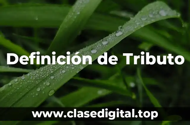 Definición de Tributo