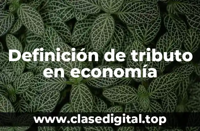 Definición de tributo en economía