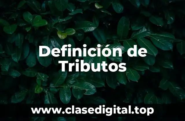 Definición técnica de tributo