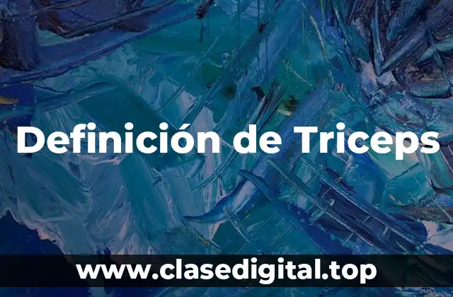 Definición de Triceps