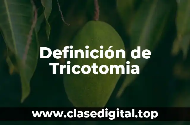 Definición de Tricotomia
