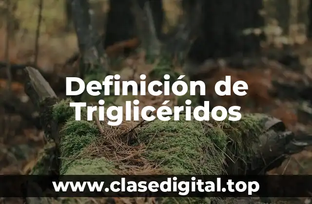 Definición de Triglicéridos