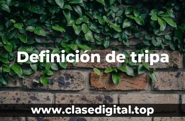 Definición de tripa