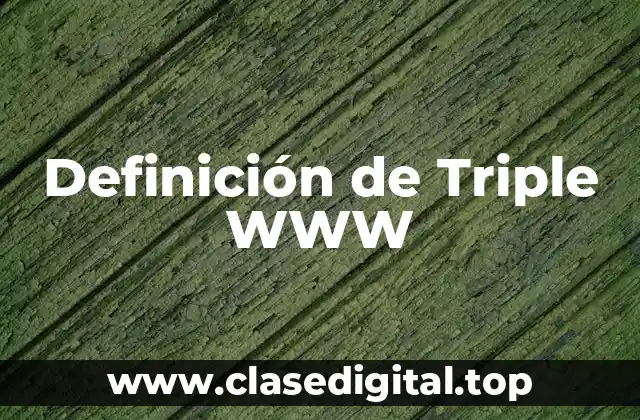 Definición de Triple WWW