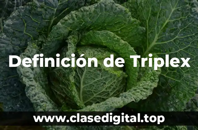 Definición de Triplex