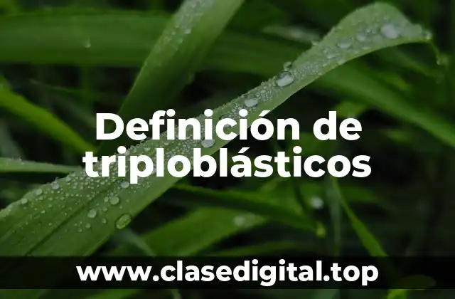 Ejemplos de triploblásticos