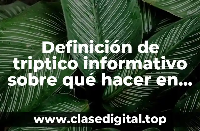 Definición de triptico informativo sobre qué hacer en desastres naturales