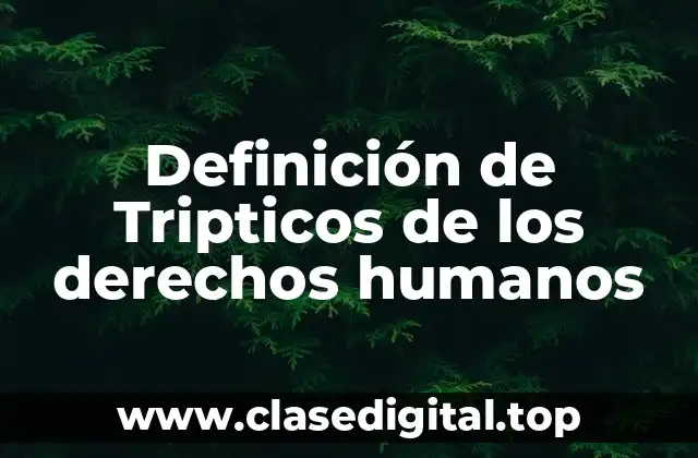 Definición de Tripticos de los derechos humanos