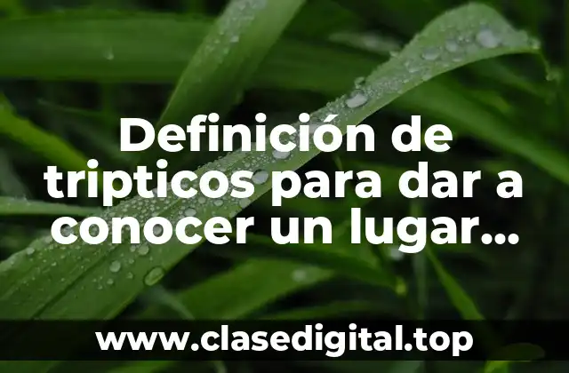 Definición de tripticos para dar a conocer un lugar turístico