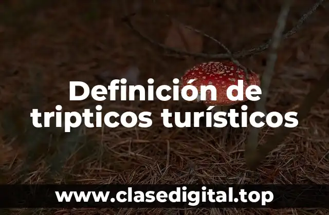 Ejemplos de tripticos turísticos