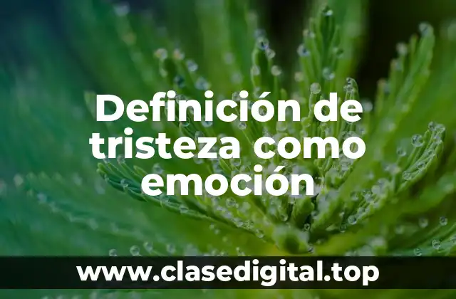 Definición de tristeza como emoción