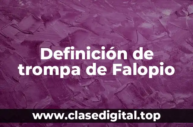 Definición de trompa de Falopio