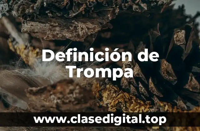 Definición de Trompa