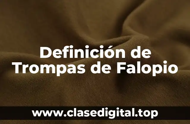 Definición de Trompas de Falopio