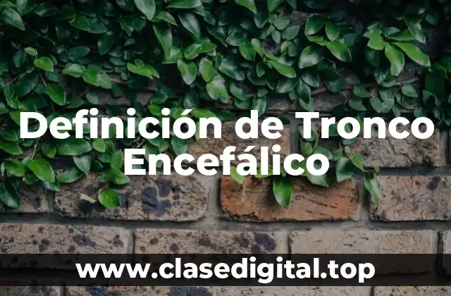 Definición de Tronco Encefálico