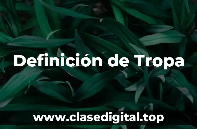 Definición técnica de tropa