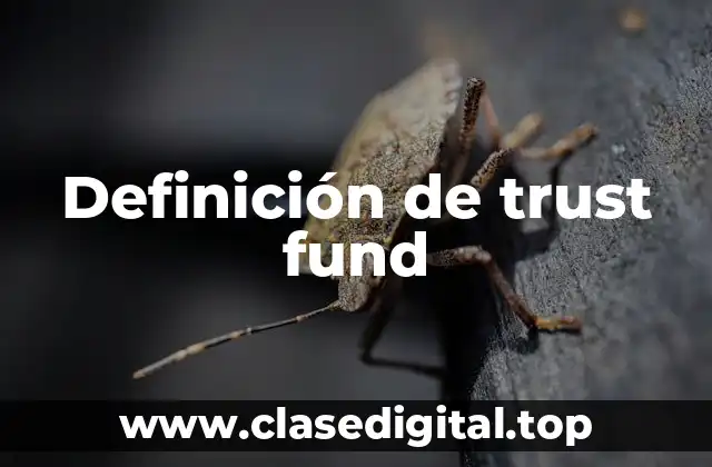 Definición de trust fund