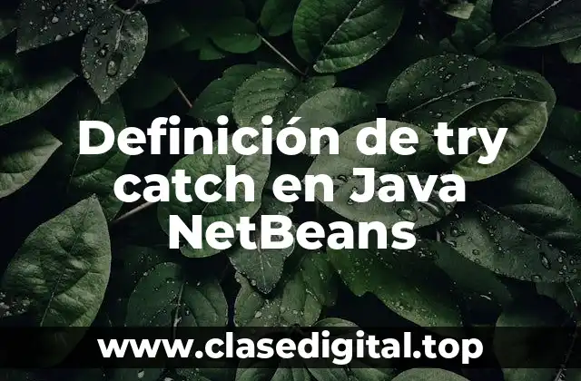 Definición de try catch en Java NetBeans