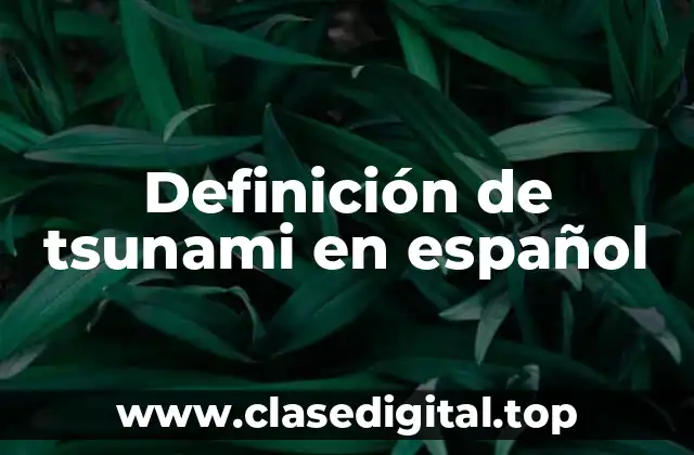 Definición de tsunami en español