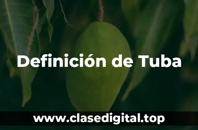 Definición de Tuba